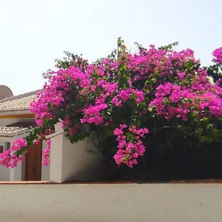 Bed & Breakfast El Dorado And Wellness *